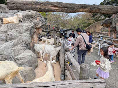 ふれあい動物園