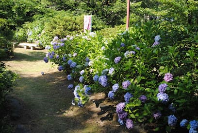 佐藤公園