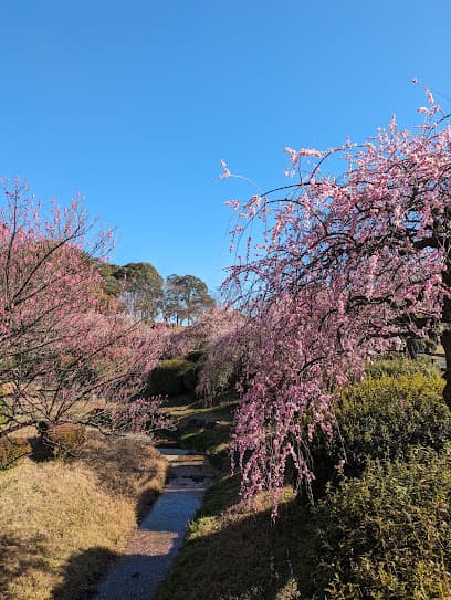 花農丘公園