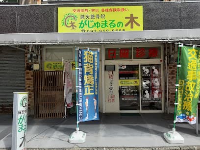 鍼灸整骨院がじゅまるの木