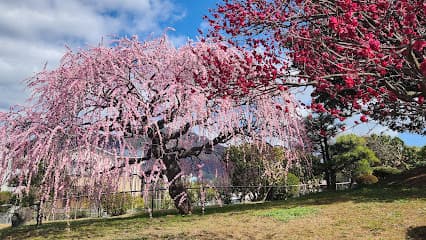 花農丘公園