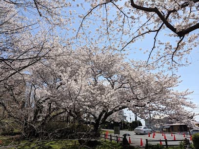 安部山公園