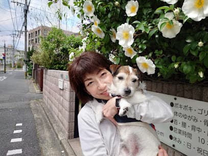 犬の整体院 わんこ快福クラブ北九州